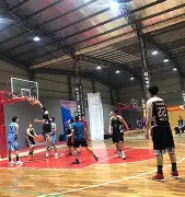 平博登录-篮球强国